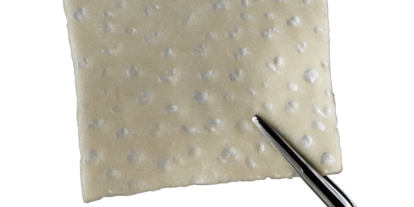 Derma