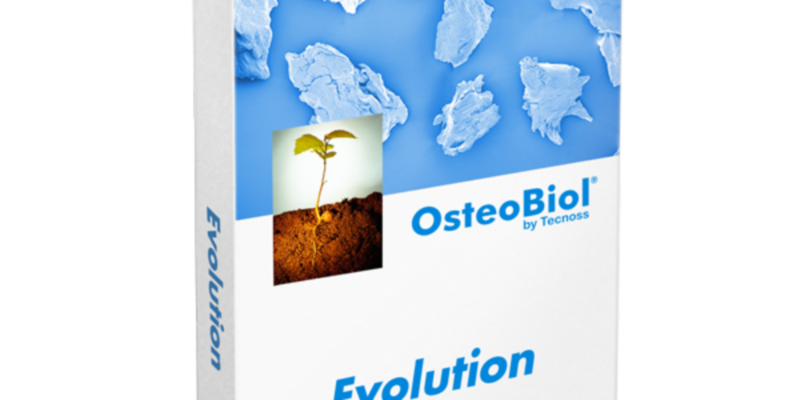 Osteobiol_evolution_updent